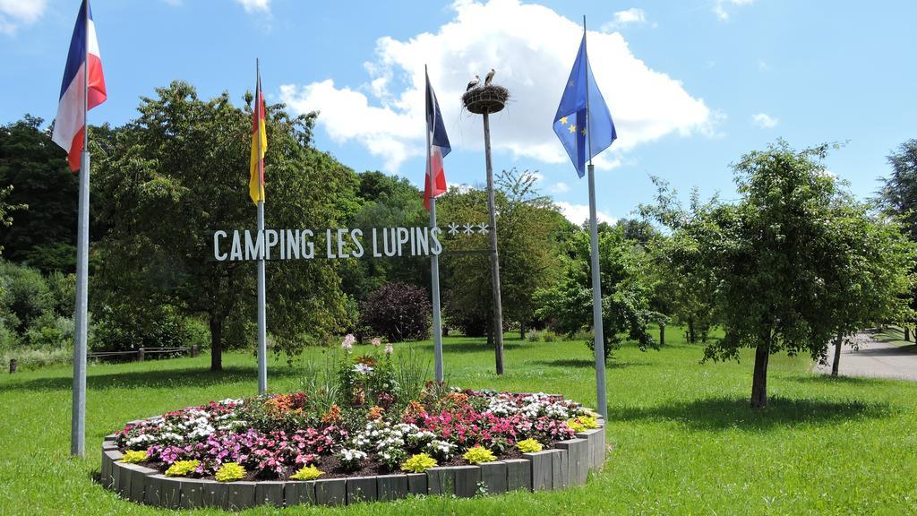 ホテル Camping Les Lupins Seppois-le-Bas エクステリア 写真